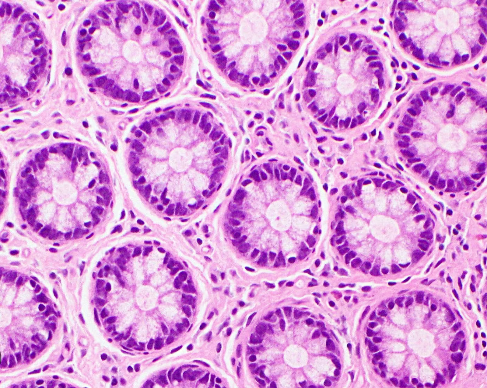 Laboratory image 2